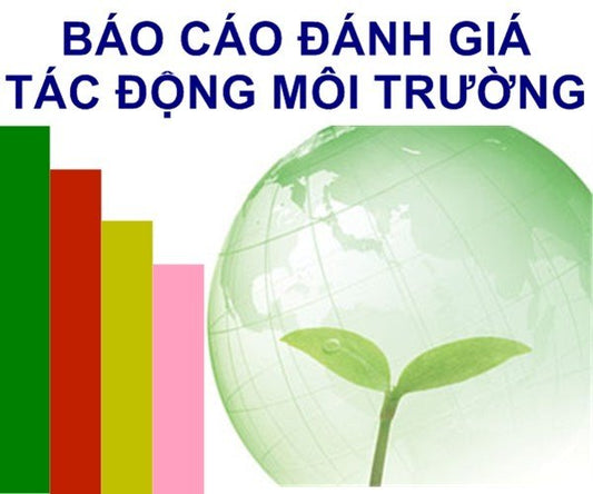 Báo cáo ĐTM